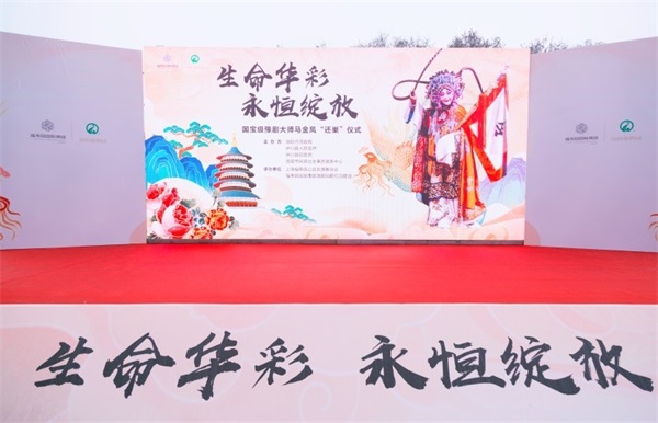 马1.jpg