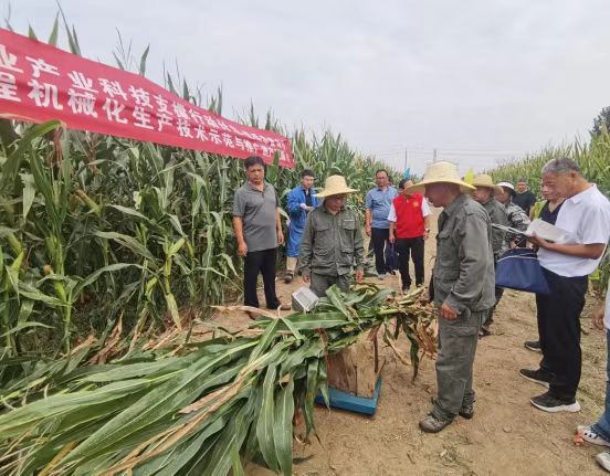 河南优质草畜专项测产观摩会在宝丰县召开