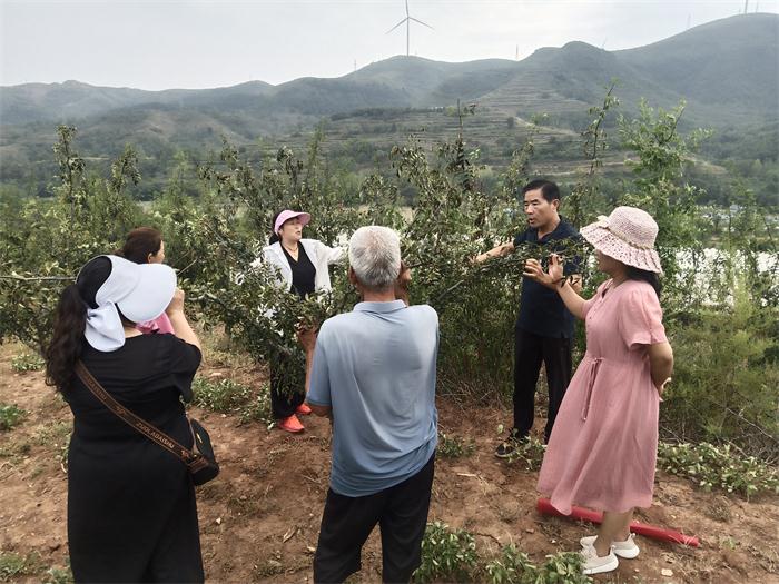 宝丰县科技特派员送“技”下乡 为乡村振兴赋能添智